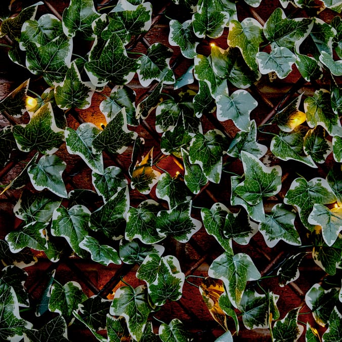 Firefly Ivy Trellis Solar Lights