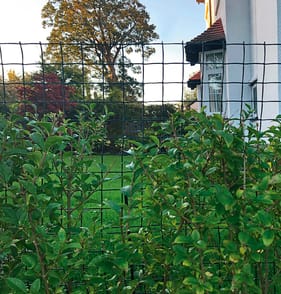 Jardin Garden Mesh Climbing Support