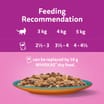 Whiskas Adult 1+ Duo Surf and Turf in Jelly Wet Cat Food Pouches 12 x 85g