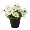 Artificial Spring Flowers