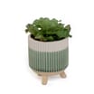 Home Collections Artificial Succulent In Pot