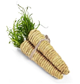 Hoppy Easter Parsnip Decoration 3 Pack - Natural