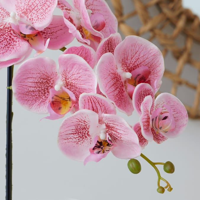 Home Collections Real Touch Orchid Home Bargains