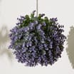 Jardin Eucalyptus Ball 30cm - Purple