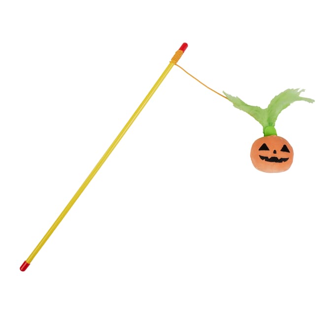 My Pets Halloween Cat Teaser