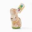 Easter Bunny Tin With Milk Chocolate Eggs 49g