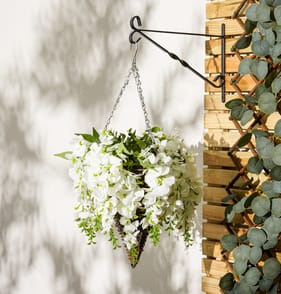 Jardin Wisteria Hanging Basket