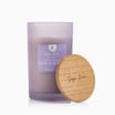 Sage Cove Scented Candle Jar 440g - Sweet Delight