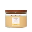 Nature's Wick 3 Wick Candle - Wild Honey