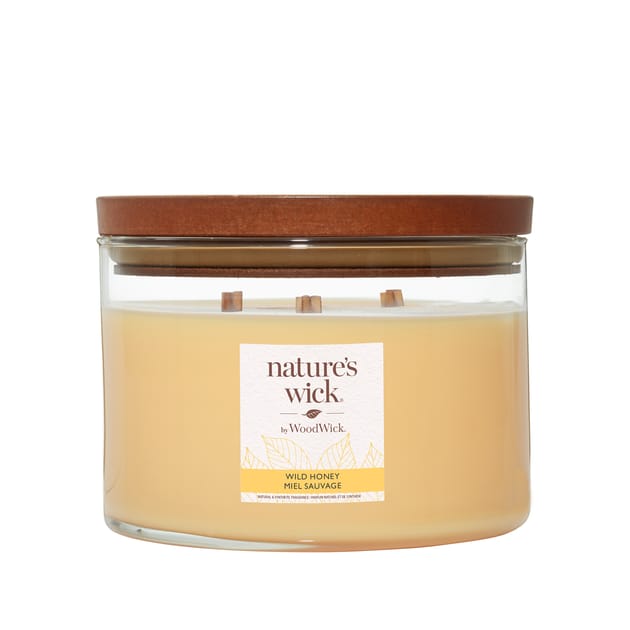 Nature's Wick 3 Wick Candle Wild Honey Home Bargains