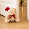 The Winter Warmer Collection Teddy Bear Door Stop 