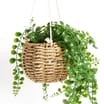 Home Collections Artificial Hanging Plant Basket