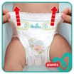 Pampers Baby-Dry Nappy Pants 19's Size 6