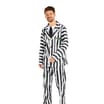 Beetlejuice Adults Beetlejuice Costume