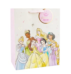 Disney Princess Gift Bag
