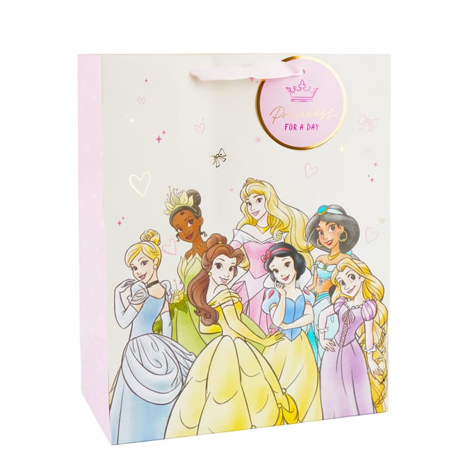 Disney Princess Gift Bag