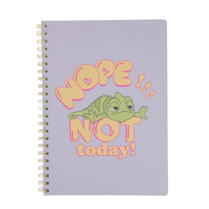 Disney Sidekicks A4 Notebook