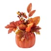 The Lifestyle Edit Harvest Faux Pumpkin Succulent