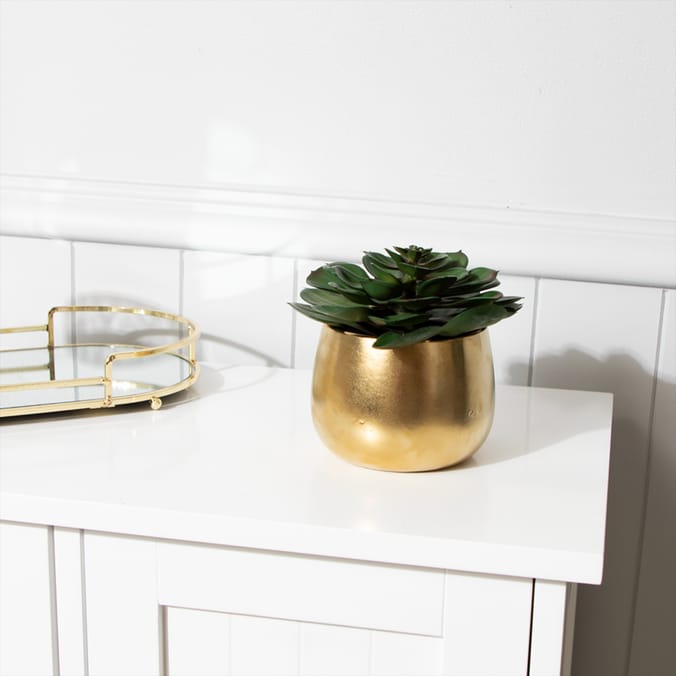 Home Collections Succulent In Gold Pot