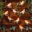 Firefly 10 Clip-On Bird String Solar Lights