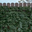 Jardin 3x1m Artificial Ivy Leaf Hedge