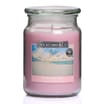 Wickford & Co Scented Candle 18oz - Blush Beaches