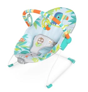 Bright Starts Rainforest Vibrations Bouncer