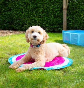 My Pets Cooling Mat - Watermelon