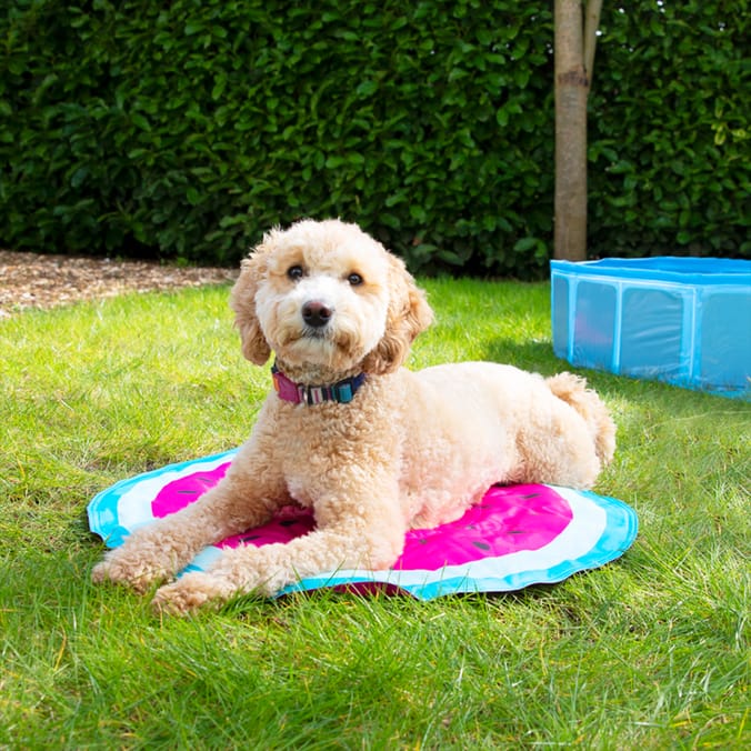 Pet cooling mat b and m outlet