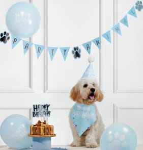 Let's Party Pet Birthday Kit - Blue