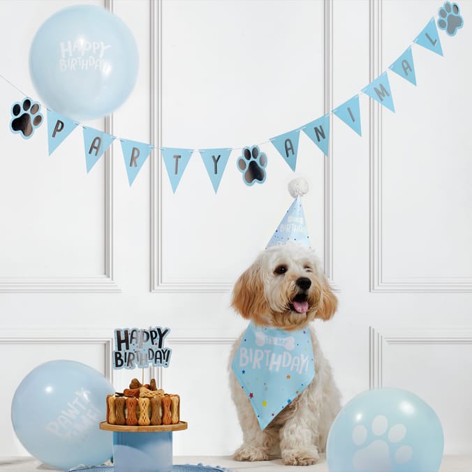 Let's Party Pet Birthday Kit