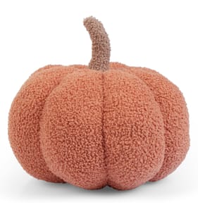 The Lifestyle Edit Harvest Pumpkin Cushion - Orange 