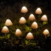 Firefly 10 Mushroom String Solar Lights