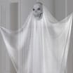 Haunted House Floating 5ft Ghost Decoration