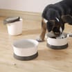 Curver Petlife Food Container Travel Kit 2 Pack