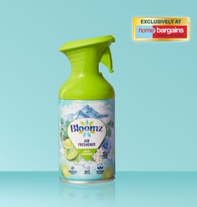 Bloomz Air Freshener 250ml - Great Outdoors
