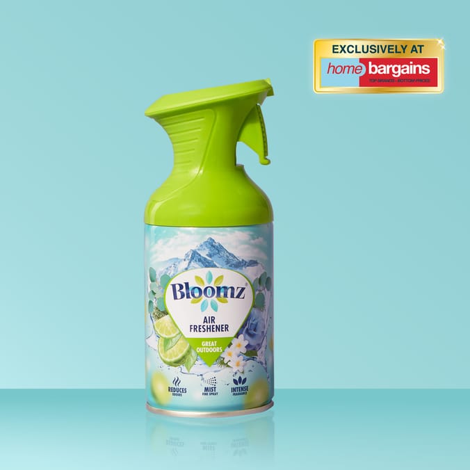 Bloomz Air Freshener 250ml - Great Outdoors