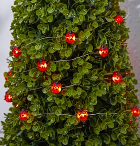 Firefly Solar Light Co String Solar Lights - Ladybird