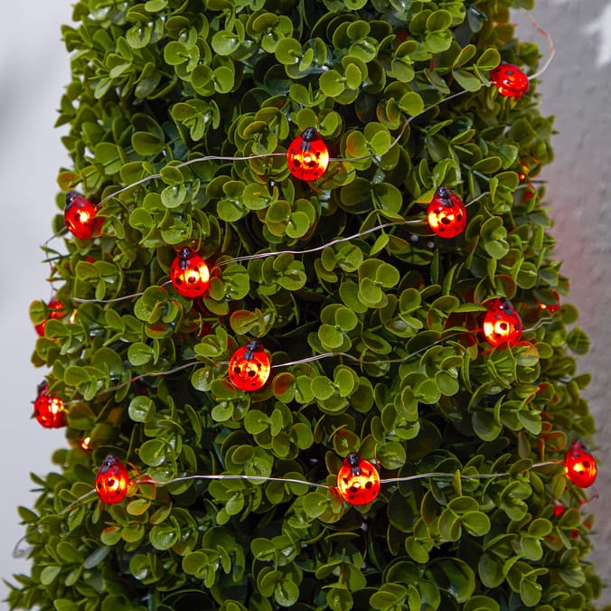 Firefly Solar Light Co String Solar Lights - Ladybird