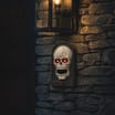 Haunted House Light Up Musical Doorbell Assorted