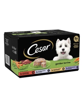 Cesar Garden Terrine Wet Dog Food in Tray 8 x 150g