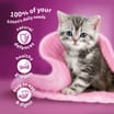 Whiskas Kitten 2-12 Months Poultry in Jelly Pouches 12 x 85g  