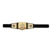 WWE Undisputed WWE Universal Championship Role Play Title HYJ35