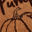 Hinch Home Flocked Coir Door Mat