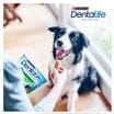 Dentalife Medium Dog Treat Dental Chew 3 x 15 Stick Pack