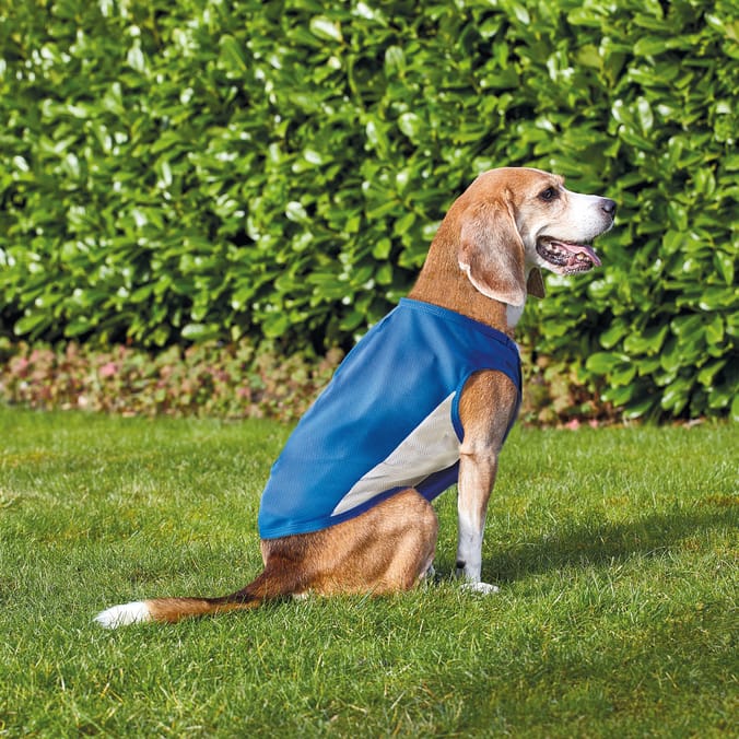 My Pets Pet Cooling Vest M/L