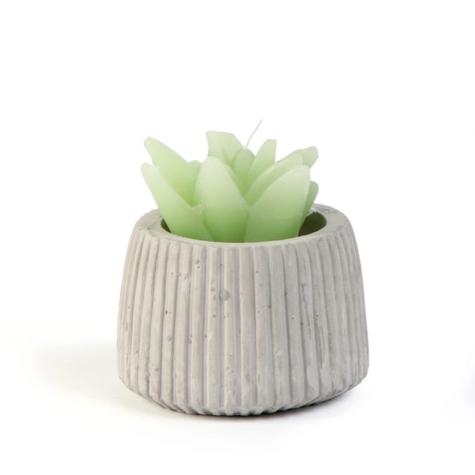 Botanical Nourish Citronella Candle