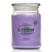 Wickford & Co Scented Candle 18oz - Lavender Haze