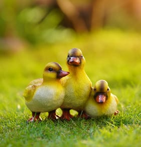 Jardin Polyresin Animal - Duck