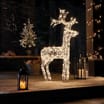 Prestige Light-Up Acrylic Reindeer - Warm White